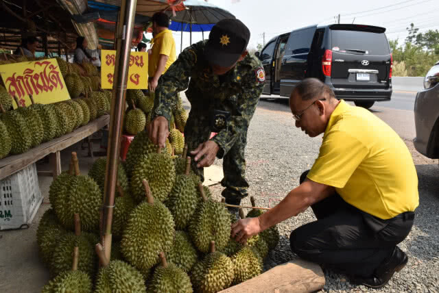 คุมเข้ม! ลุยจับทุเรียนอ่อนต่างถิ่นวางขายอุตรดิตถ์
