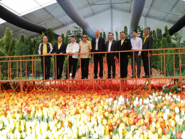 เชิญสัมผัสไม้เมืองหนาว ความสุขผลิบานกลางฤดูร้อนของไทย