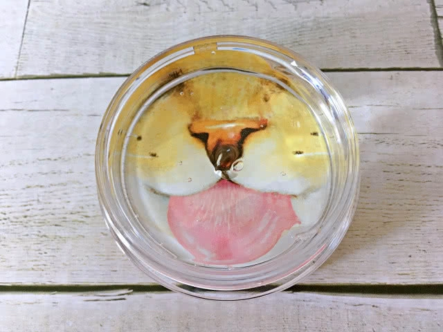 ญี่ปุ่นเปิดตัวมอยเจอร์ไรเซอร์นุ่มประดุจแมวเลีย