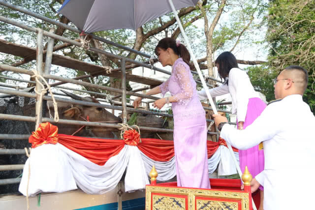 ทูลกระหม่อมฯ​ ทรงบำเพ็ญพระกุศล​ เนื่องในวันคล้ายวันประสูติ