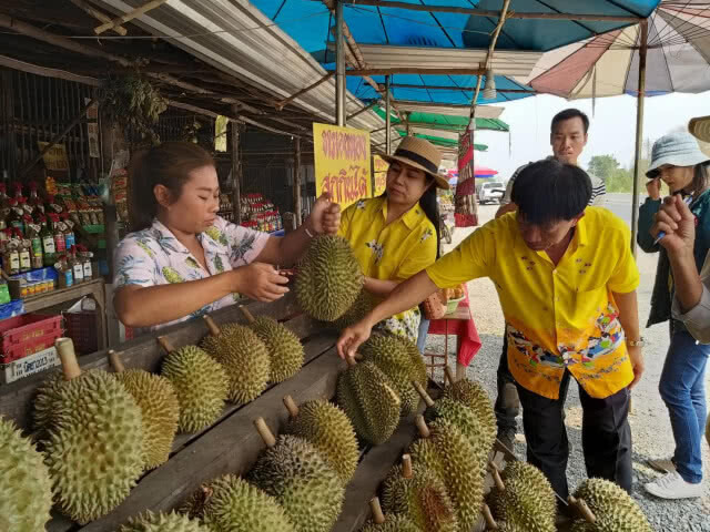 คุมเข้ม! ลุยจับทุเรียนอ่อนต่างถิ่นวางขายอุตรดิตถ์