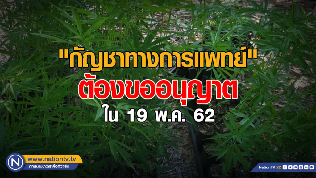"กัญชาทางการแพทย์" ต้องขออนุญาตภายใน 19 พ.ค. นี้ "กัญชาทางการแพทย์" ต้องขออนุญาตภายใน 19 พ.ค. นี้