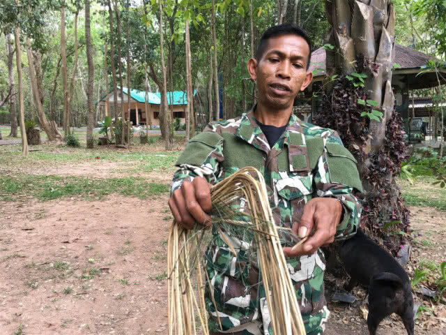 "กระทิง" โผล่ป่าชายแดนไทย-กัมพูชา รอบ10ปี