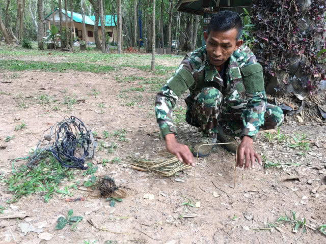 "กระทิง" โผล่ป่าชายแดนไทย-กัมพูชา รอบ10ปี