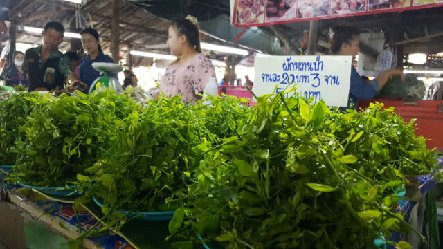 ค่าฝุ่นเชียงใหม่ยังไม่นิ่ง ตลาดของป่าพบผักหวานขายคึกคัก