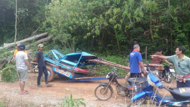 พายุฤดูร้อนถล่ม ต้นไม้ล้มทับควายตาย 4 ตัว