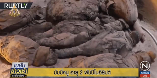 พบมัมมี่ "แมว" อายุกว่า 2 พันปี ในสุสานโบราณอียิปต์