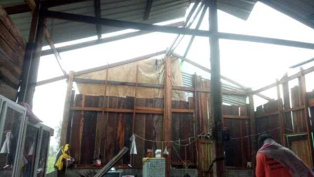 พายุฤดูร้อนถล่ม ต้นไม้ล้มทับควายตาย 4 ตัว