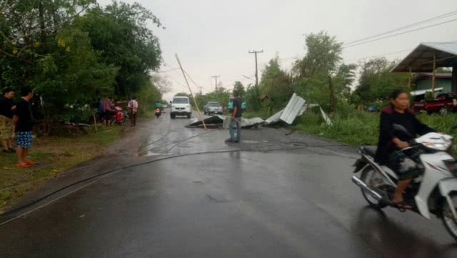 พายุฤดูร้อนถล่ม ต้นไม้ล้มทับควายตาย 4 ตัว