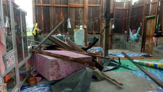 พายุฤดูร้อนถล่ม ต้นไม้ล้มทับควายตาย 4 ตัว