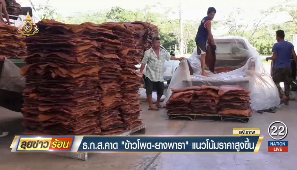 ธ.ก.ส.คาด "ข้าวโพด-ยางพารา" แนวโน้มราคาสูงขึ้น