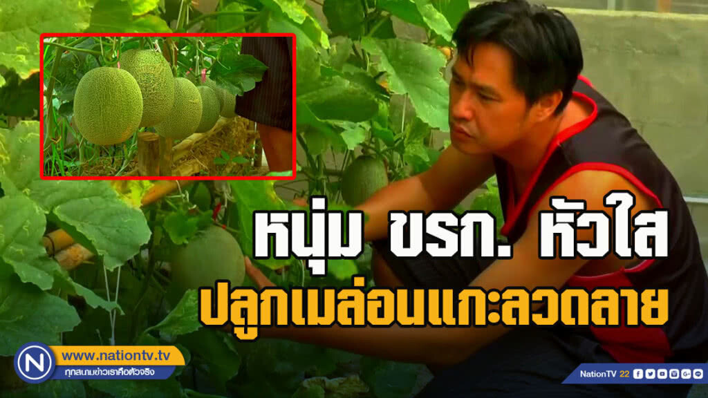 หนุ่มข้าราชการ รพ.พะเยาหัวใสปลูกเมล่อนแกะลวดลายคนแห่จองแน่น