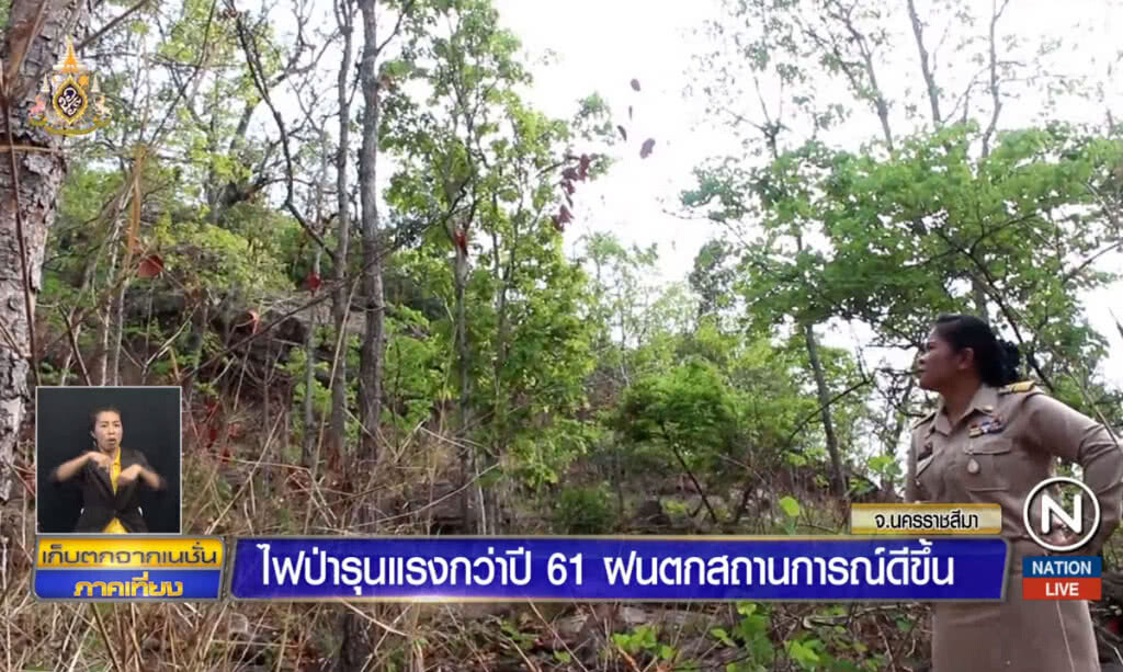 ไฟป่ารุนแรงกว่าปี 61 ฝนตกสถานการณ์ดีขึ้น ไฟป่ารุนแรงกว่าปี 61 ฝนตกสถานการณ์ดีขึ้น