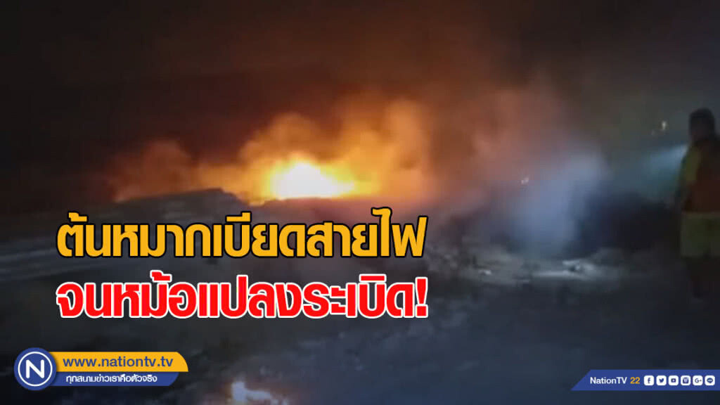 ต้นหมากเบียดสาย จนหม้อแปลงระเบิด ต้นหมากเบียดสาย จนหม้อแปลงระเบิด