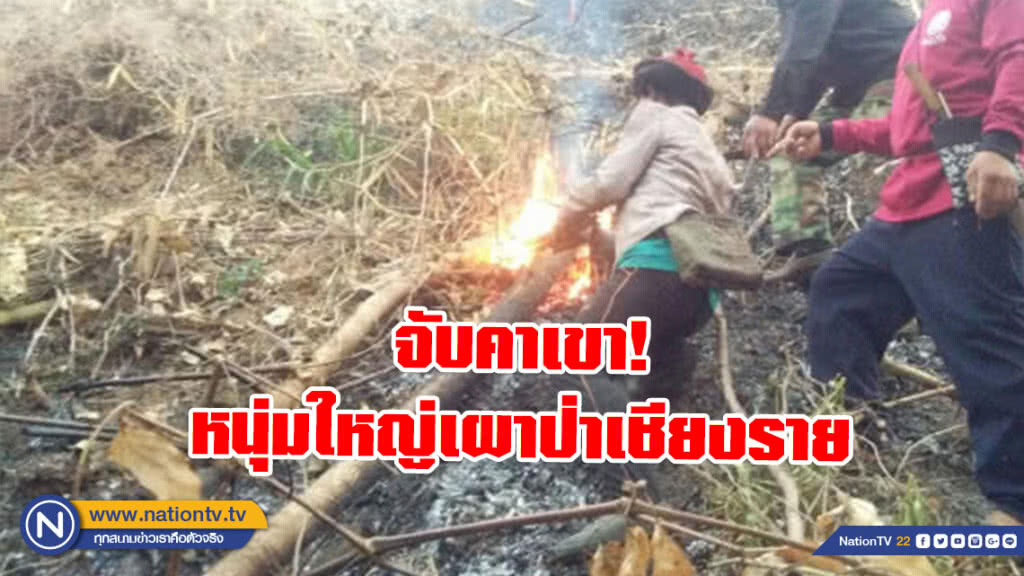 จับคาเขา! หนุ่มใหญ่เผาป่าเชียงราย จับคาเขา! หนุ่มใหญ่เผาป่าเชียงราย
