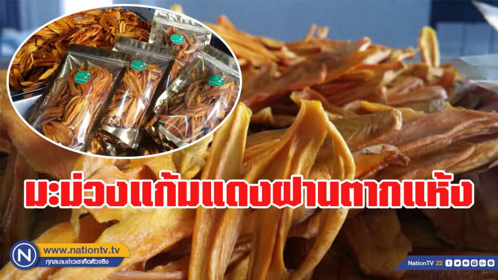 ผลิตมะม่วงแก้มแดงฝานตากแห้ง รายได้งาม ผลิตมะม่วงแก้มแดงฝานตากแห้ง รายได้งาม