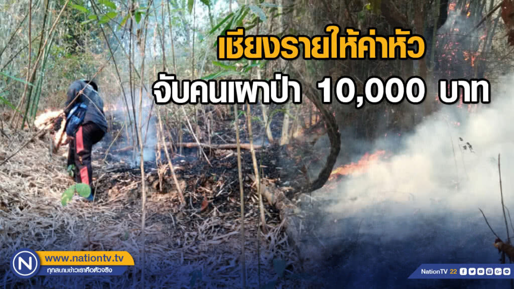 เชียงรายให้ค่าหัวจับคนเผาป่า 10,000 บาท