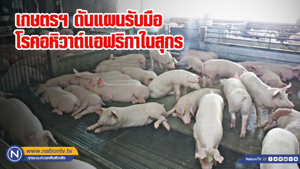 เกษตรฯ ดันแผนรับมือโรคอหิวาต์แอฟริกาในสุกรวงเงิน 148 ล้านบาท