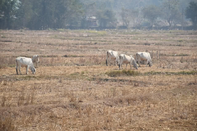 แล้งหนัก ตร.สภ.นาอิน ขนน้ำขึ้นโรงพักบริการปชช.