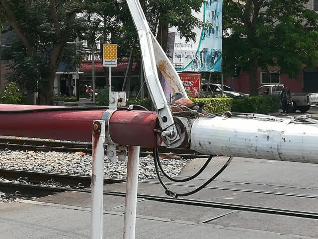 อะเมซิ่ง รังนกเขาบนเครื่องกั้นทางรถไฟ ขึ้นๆลงๆทั้งวัน