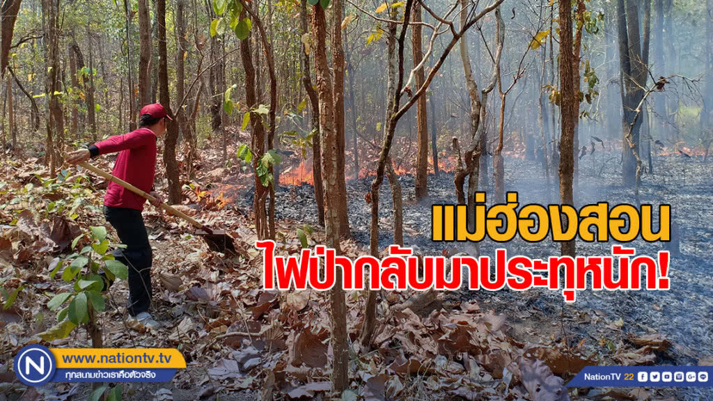 แม่ฮ่องสอน ไฟป่ากลับมาประทุหนัก