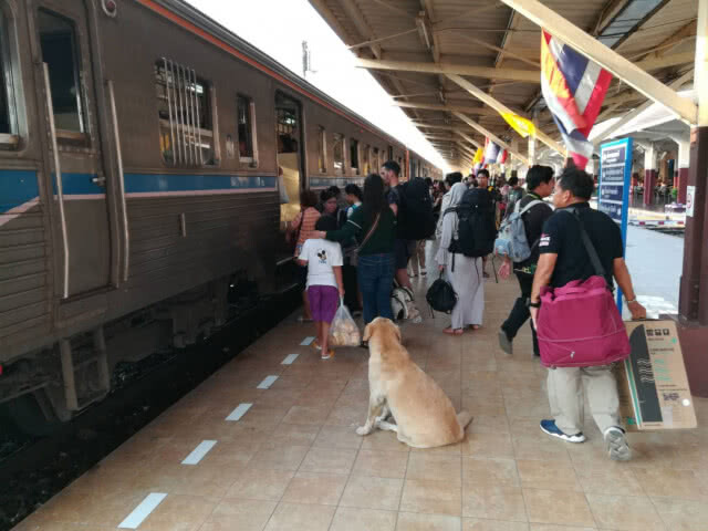 เดินทางด้วยรถไฟพิษณุโลกหนาแน่น