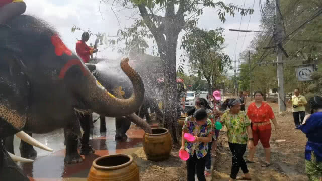 ททท.พระนครศรีอยุธยา  เชิญชวนเล่นน้ำกับช้าง