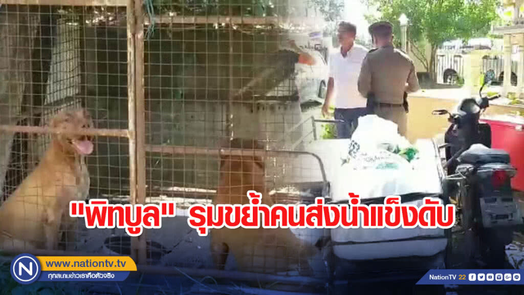 "พิทบูล" รุมขย้ำคนส่งน้ำแข็งดับ