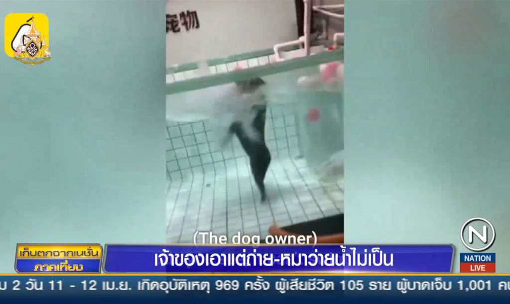 เจ้าของเอาแต่ถ่าย-หมาว่ายน้ำไม่เป็น เจ้าของเอาแต่ถ่าย-หมาว่ายน้ำไม่เป็น