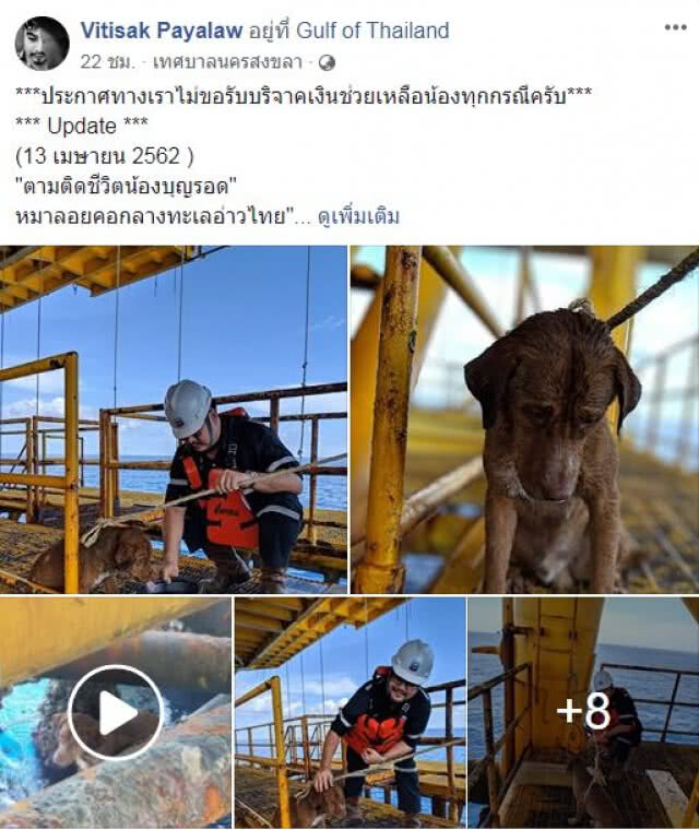 #บุญรอดหมาอ่าวไทย ว่ายเกาะแท่นขุด ปาฏิหาริย์!!