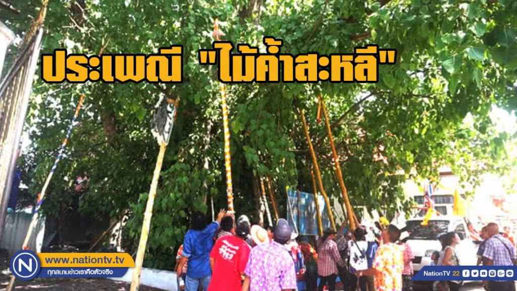 เมืองตาก สืบสานประเพณี "ไม้ค้ำสะหลี" เมืองตาก สืบสานประเพณี "ไม้ค้ำสะหลี"
