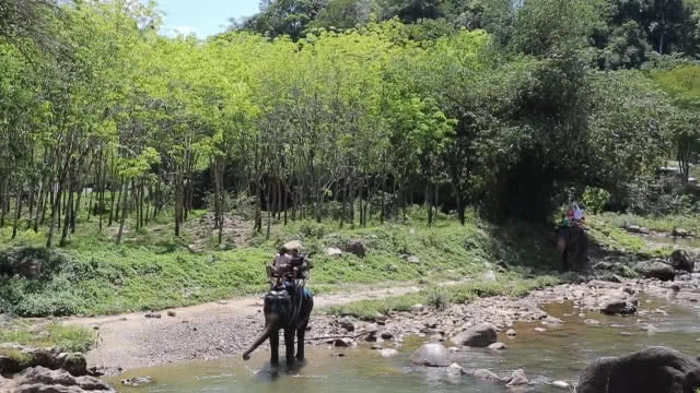 เที่ยวแห่ล่องแก่ง ขี่ช้าง ช่วงหยุดสงกรานต์