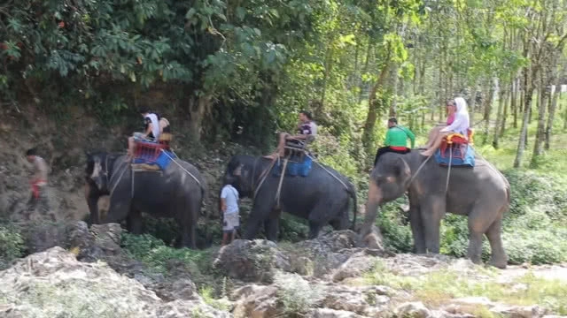 เที่ยวแห่ล่องแก่ง ขี่ช้าง ช่วงหยุดสงกรานต์