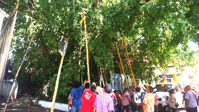 เมืองตาก สืบสานประเพณี "ไม้ค้ำสะหลี"