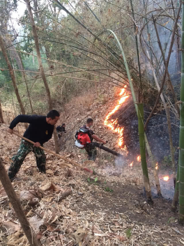 นายอำเภอ นำกำลังดับไฟไหม้ป่าข้างสนามบินแม่ฮ่องสอน