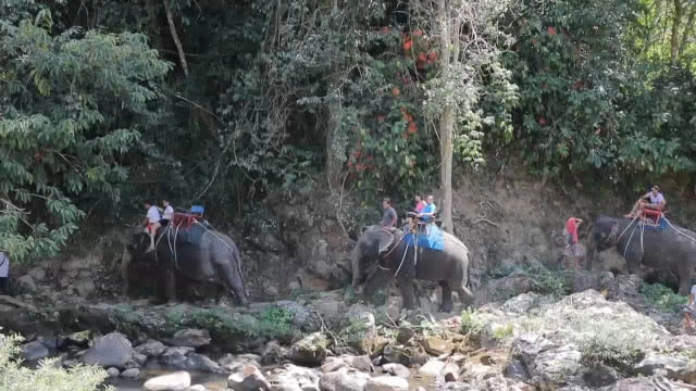 เที่ยวแห่ล่องแก่ง ขี่ช้าง ช่วงหยุดสงกรานต์