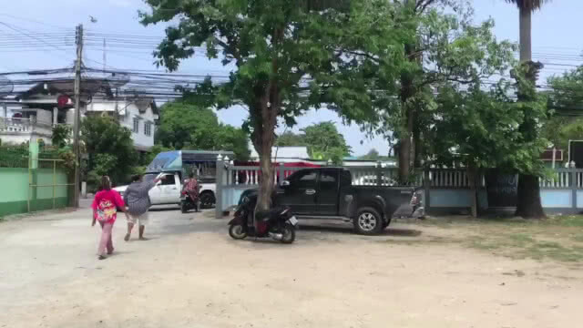นักเสี่ยงโชค แห่ดูเศียรพระ โผล่กลางลำต้นพญาสัตบรรณ