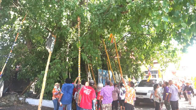 เมืองตาก สืบสานประเพณี "ไม้ค้ำสะหลี"