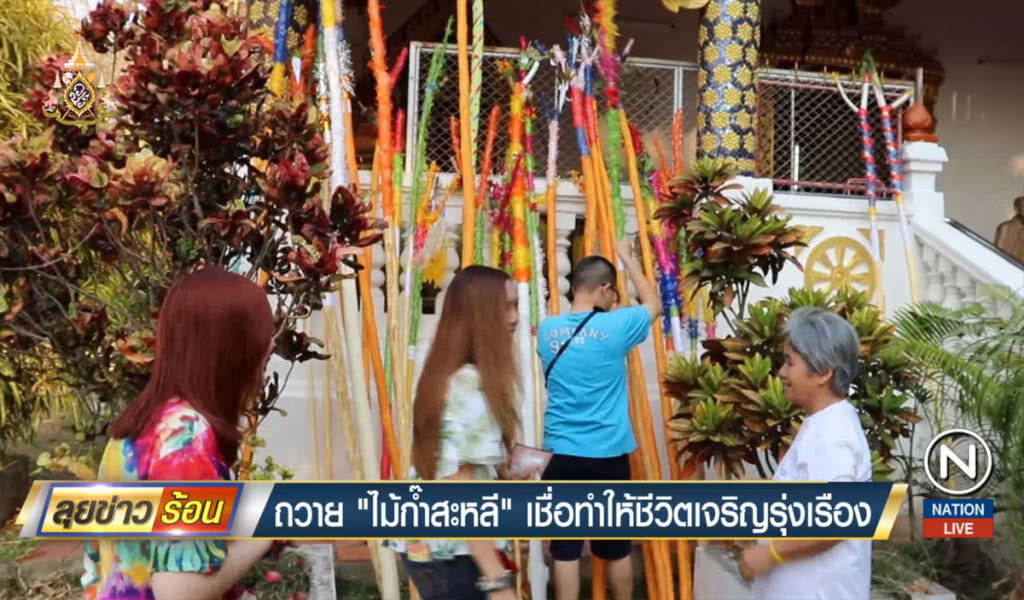 ถวาย "ไม้ก๊ำสะหลี" เชื่อทำให้ชีวิตเจริญรุ่งเรือง
