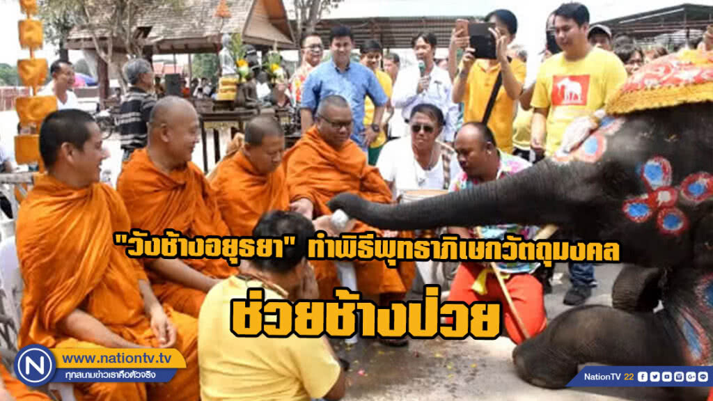 "วังช้างอยุธยา" ทำพิธีพุทธาภิเษกวัตถุมงคล ช่วยช้างป่วย