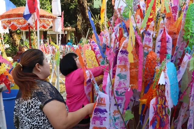 ถวาย "ไม้ก๊ำสะหลี" ชาวเหนือเชื่อ​ทำให้ชีวิตเจริญรุ่งเรือง