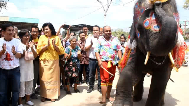 "วังช้างอยุธยา" ทำพิธีพุทธาภิเษกวัตถุมงคล ช่วยช้างป่วย