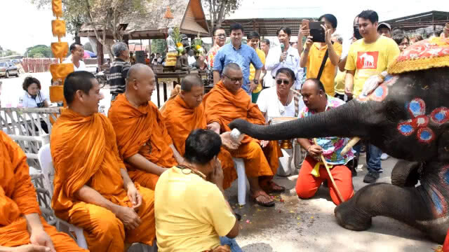 "วังช้างอยุธยา" ทำพิธีพุทธาภิเษกวัตถุมงคล ช่วยช้างป่วย