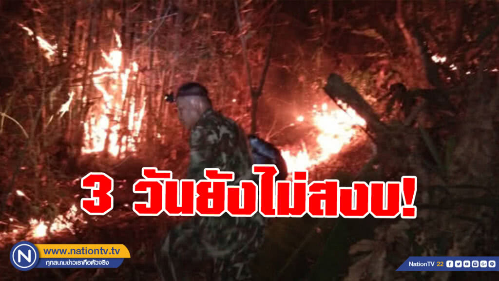 3 วันยังไม่สงบ! "ดอยจระเข้" ยังเป็นทะเลเพลิง 3 วันยังไม่สงบ! "ดอยจระเข้" ยังเป็นทะเลเพลิง