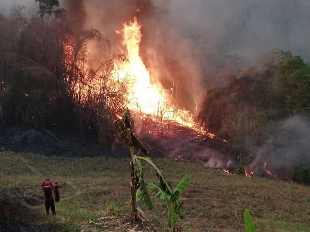 3 วันยังไม่สงบ! "ดอยจระเข้" ยังเป็นทะเลเพลิง