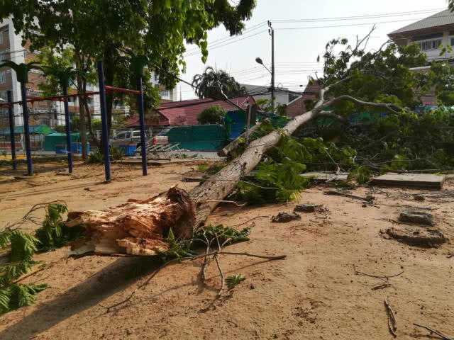 ส่งท้ายสงกรานต์! พายุถล่มพิษณุโลกเสียหายยับ