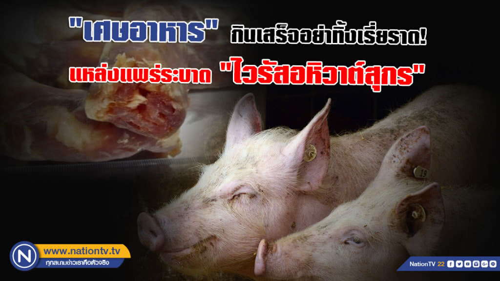 "เศษอาหาร" กินเสร็จอย่าทิ้งเรี่ยราด! แหล่งแพร่ระบาด "ไวรัสอหิวาต์สุกร"