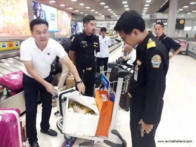 "เศษอาหาร" กินเสร็จอย่าทิ้งเรี่ยราด! แหล่งแพร่ระบาด "ไวรัสอหิวาต์สุกร"