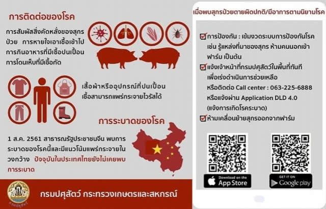 "เศษอาหาร" กินเสร็จอย่าทิ้งเรี่ยราด! แหล่งแพร่ระบาด "ไวรัสอหิวาต์สุกร"