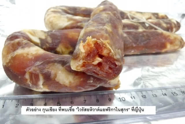 "เศษอาหาร" กินเสร็จอย่าทิ้งเรี่ยราด! แหล่งแพร่ระบาด "ไวรัสอหิวาต์สุกร"